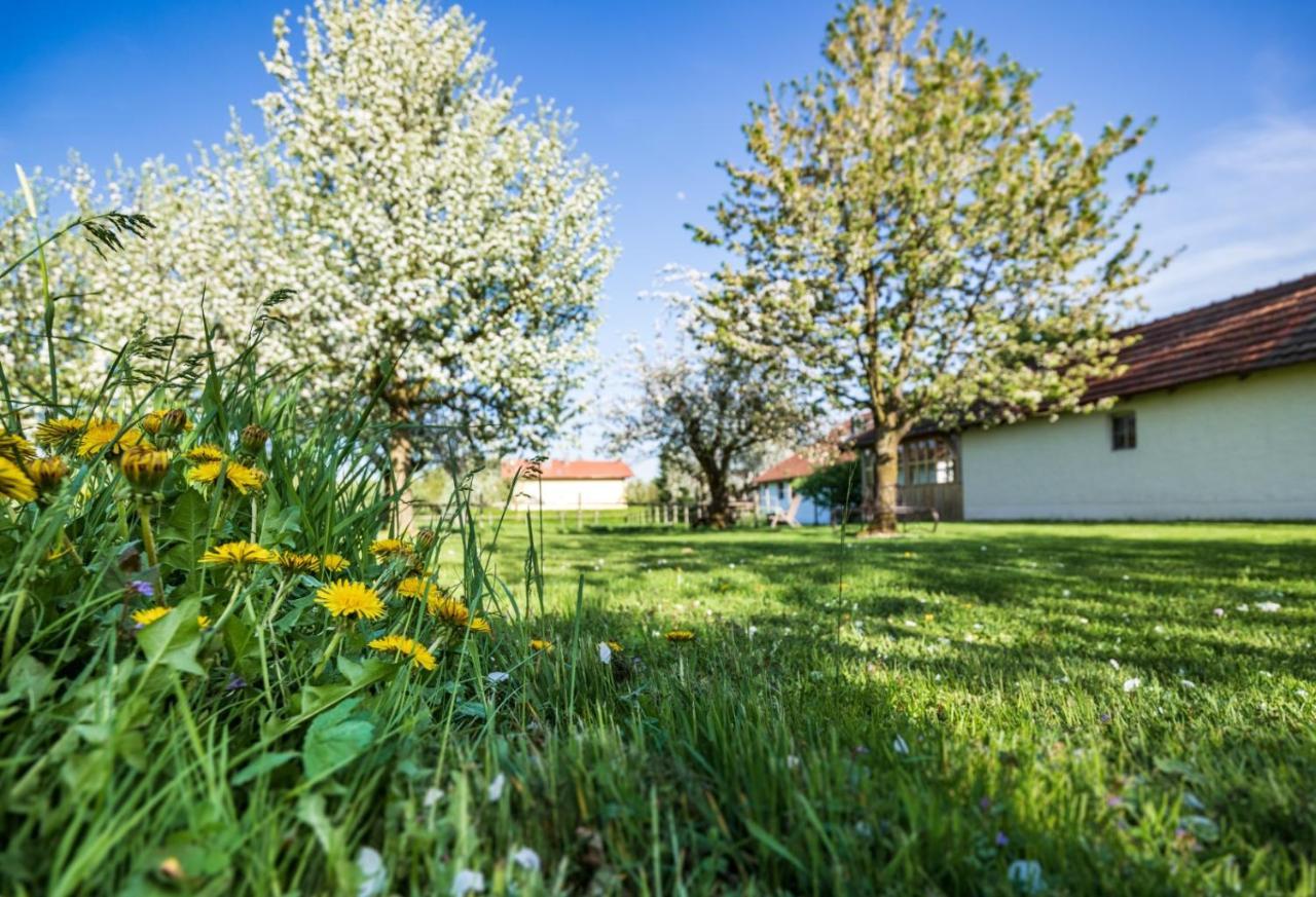 Landhaus Kreileder Bad Griesbach im Rottal Extérieur photo